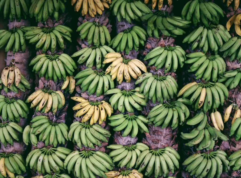 bananas