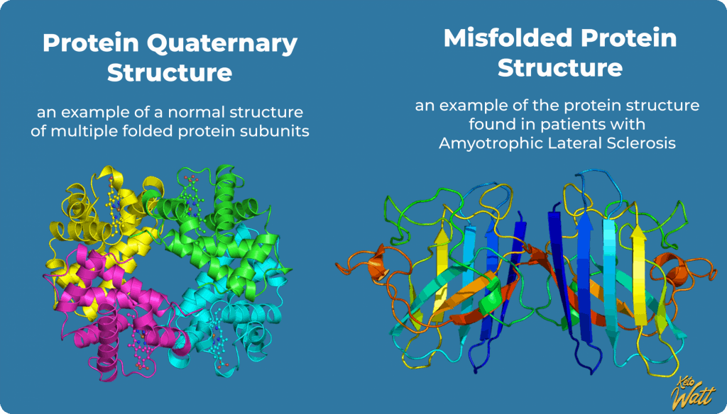 protein structure