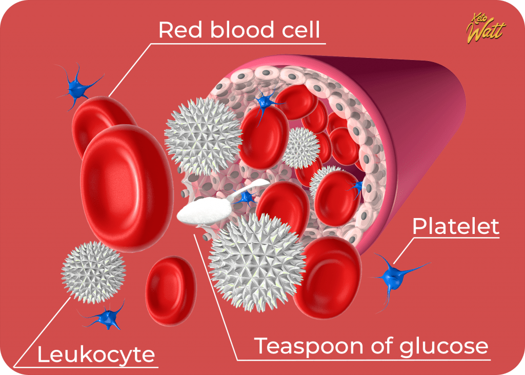 Scientific evidence of a teaspoon of glucose circulating in the bloodstream